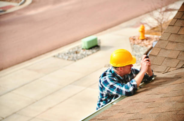 Best Gutter Installation and Roofing  in Occidental, CA